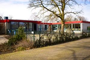 de Vlieger